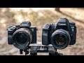 Sony A7III vs Canon 6D Mark II