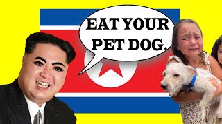 Kim Jong Un LAW to EAT PET DOGS! 🐶😲 | Weirdest North Korea Facts in Hindi #shorts