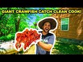 Trapping CRAWFISH at the ABANDONED RANCH!!! (Catch Clean Cook)