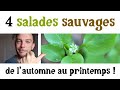 4 salades sauvages d&#39;automne