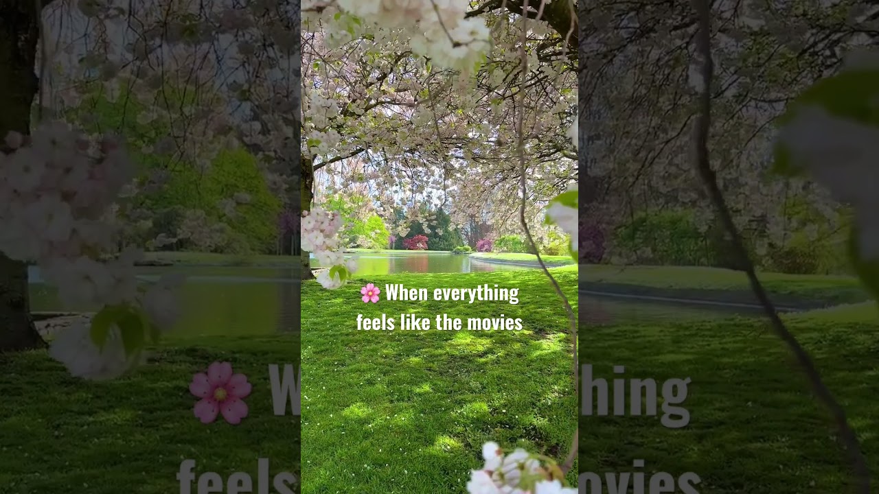 Spring vibes at the Royal Garden in Laeken 😍🌸 