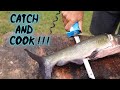 CATCH and COOK Channel Catfish!!! DELICIOUS Grilled Fillets!