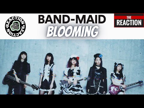 SQUIRREL Reacts to BAND-MAID / Blooming (Official Music Video)