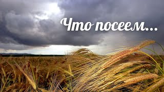 Печально , Но Факт.очень Актуально. О Нашем Настоящем. Что Посеешь.../Лучшие Стихи Для Души