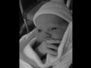 Kayla Isabella Geibler - Sweet Pea