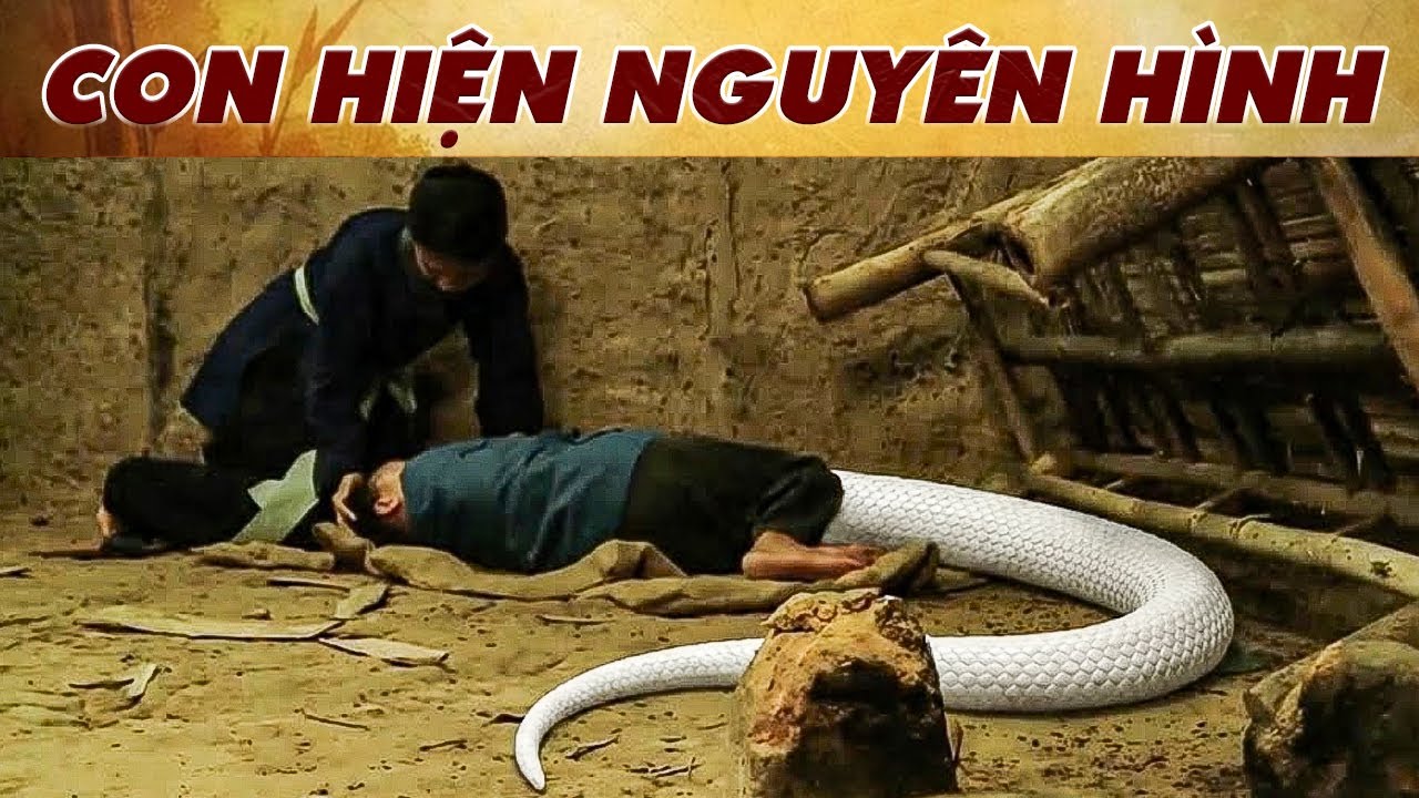 CHỒNG NGỰA CHĂM VỢ🔥CỔ TÍCH VIỆT NAM 2026 🔥 CỔ TÍCH HAY NHẤT🔥PHIM CỔ TÍCH MỚI NHẤT 2026🔥YÊU CỔ TÍCH