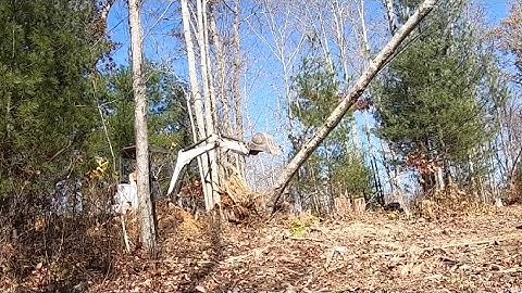 Pushing a Tree Over With a Mini Excavator