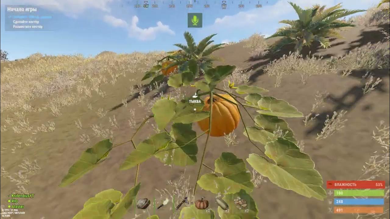 Твич фейспанч. Eu east facepunch 5. Eu east facepunch 5. Rust 2023. Facepunch.