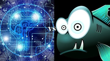 Highly Evolved Google Deepmind