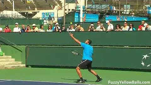Jo Wilfried Tsonga Serves in HD