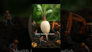 Health Benefits of Radish (Raphanus sativus) #radish #health