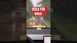 Athlete Statistics Convinced Tesla FSD is worth $99 yet?