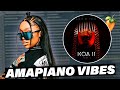 How to make beautiful amapiano from scratch dj stokie kamo mphela  fl studio tutorial