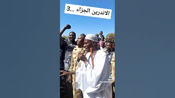 تلس فلاته 