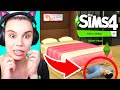 Sims 4 Tiny Living Stuff Pack - Full Review