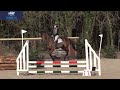 Chester at the arena eventing in Ballindenisk on 12/2/22