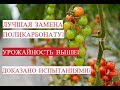 ЛУЧШАЯ ЗАМЕНА ПОЛИКАРБОНАТУ! УРОЖАЙНОСТЬ ВЫШЕ! ДОКАЗАНО ИСПЫТАНИЯМИ!