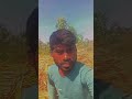 #song