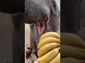 #trending #hati #imotional