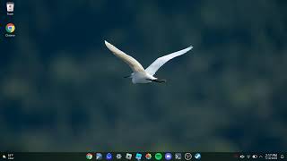 cachy20260710_141439rice.webm