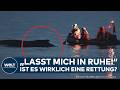 DRAMA AN DER OSTSEE: "Lasst mich in Ruhe!" Rettung scheitert – kämpft der Wal noch durch?