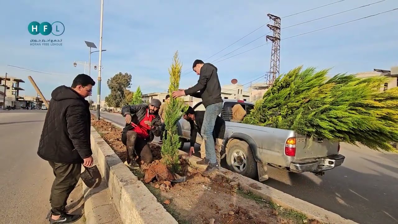 التشجير في داعل.. مبادرة محلية لتعزيز جمالية المدينة