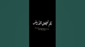 (عمّ يتساءلون ) | سورة النبأ | محمد حمزة #كرومات #krumat #شاشه_سوداء #quran