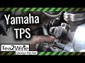 Yamaha TPS - Throttle Position Sensor problems and symptoms