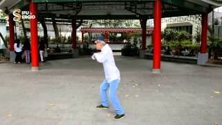 Sifu Sergio Presents GM Hawkins Cheung demonstrating his water Taijiquan