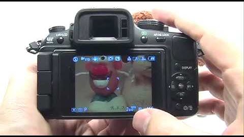 Panasonic G1/GH1: Program Mode