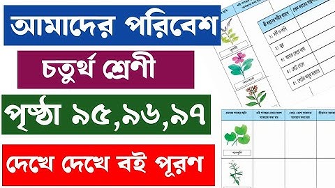 Amader Paribesh | Class-4 | Page - 95,96,97 | আমাদের পরিবেশ | চতুর্থ শ্রেণী