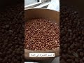طريقة تحضير الفول السوداني للتحميص فول سوداني    الاردن