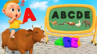 Find The Missing Letters With Animals - Funny Game With Alpaca, Bird, Cow, Duck | 3D Cartoon by Boo Kids Learning 135,270 views 9 months ago 6 minutes, 21 seconds