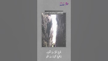 فَسُبْحَانَ اللَّهِ حِينَ تُمْسُونَ وَحِينَ تُصْبِحُونَ || القارئ : عبدالمحسن الضباح