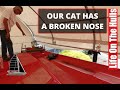 Ep161 - Catamaran Deck Mould Repair Part 1