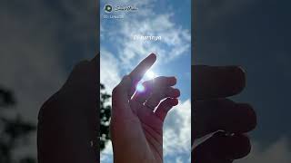 Download Lagu burung sampaikan nada pilu MP3