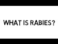 What is rabies