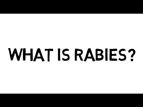 वीडियो: क्या रेबीज एक वायरस है?