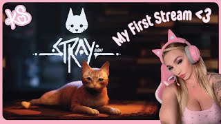 My First Stream!