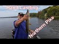Hand Landing Northern Pike