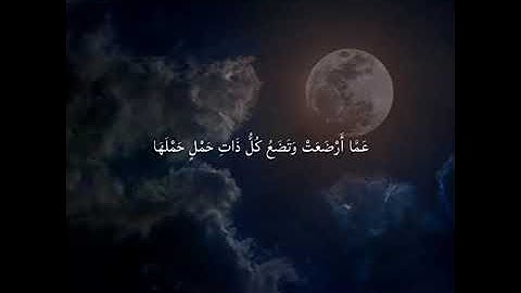 أرح سمعك 🥀القارئ: ياسر الدوسري 🍃حالات واتس آب