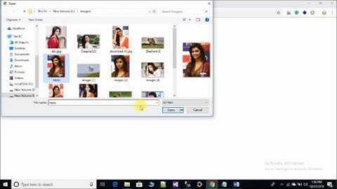 Display list of files from Server folder in ASP.Net GridView Using C#