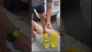 Palm Oil As Fuel 