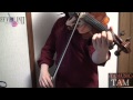 ロマサガ3 四魔貴族バトル1 (Romancing Sa・Ga3 Four Noble Devils Battle 1) violin:TAM
