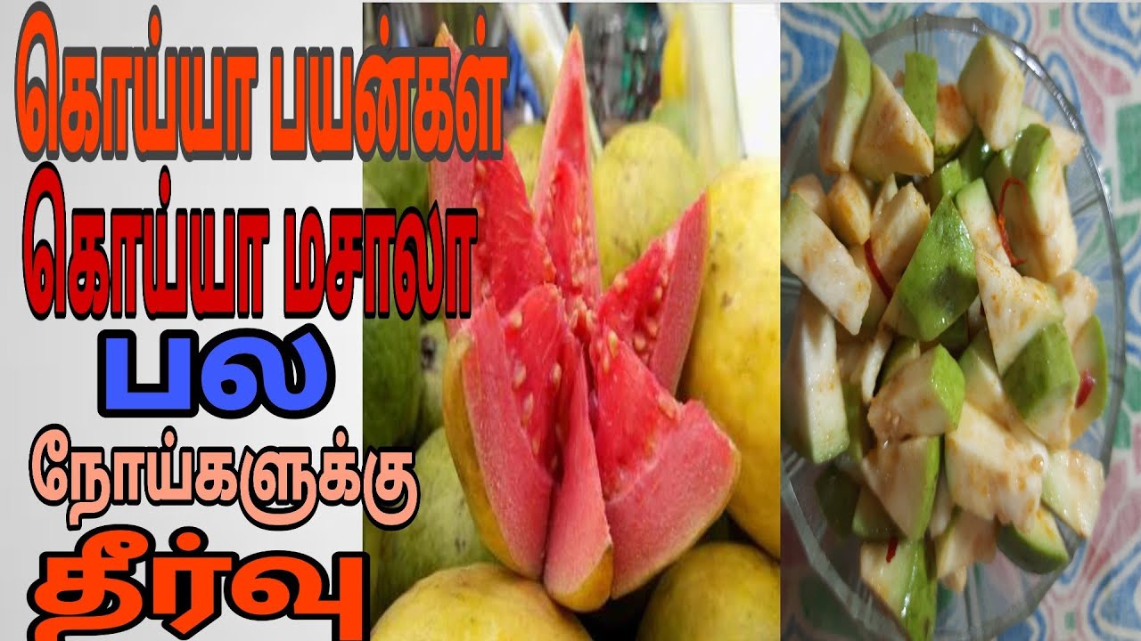 Koyya masala | கொய்யா மசாலா | koyya uses | கொய்யா பயன்கள் | bhai veetu samayal