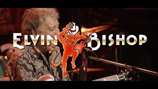 Video thumbnail of "Elvin Bishop 'Old School' | Live At Dimitriou's Jazz Alley"