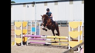 4YO Parkers first show!!