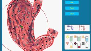 3D NLS Plus - Quantum Resonance Magnetic Health Analyzer Demo video