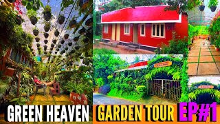 ഗ്രീൻ ഹെവൻ എങ്ങനെ ഇങ്ങനെയായി?ഭാഗം#1 ഒരുതരി പച്ചപ്പ്‌ പോലുമില്ലാതിരുന്ന വീട്  എങ്ങനെ ഇങ്ങനെയായി?