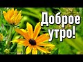 Доброе утро! Благодарите жизнь за то, что у вас есть! Красивая музыкальная открытка С Добрым утром